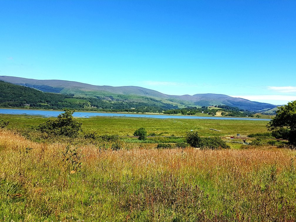 Ynys Hir Wildlife Reserve景点图片