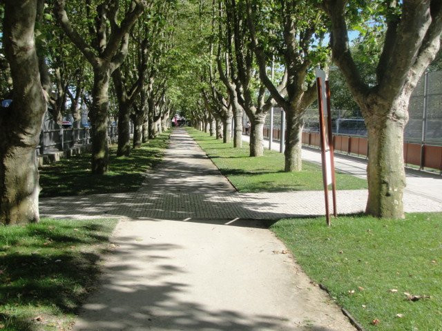 Jardim Julio Graca景点图片