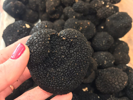 Eleat Tartufi Alba-阿尔巴必去景点