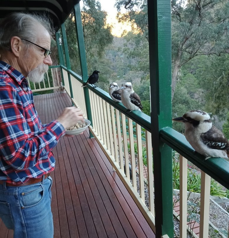 Wild Cherry B&B主图