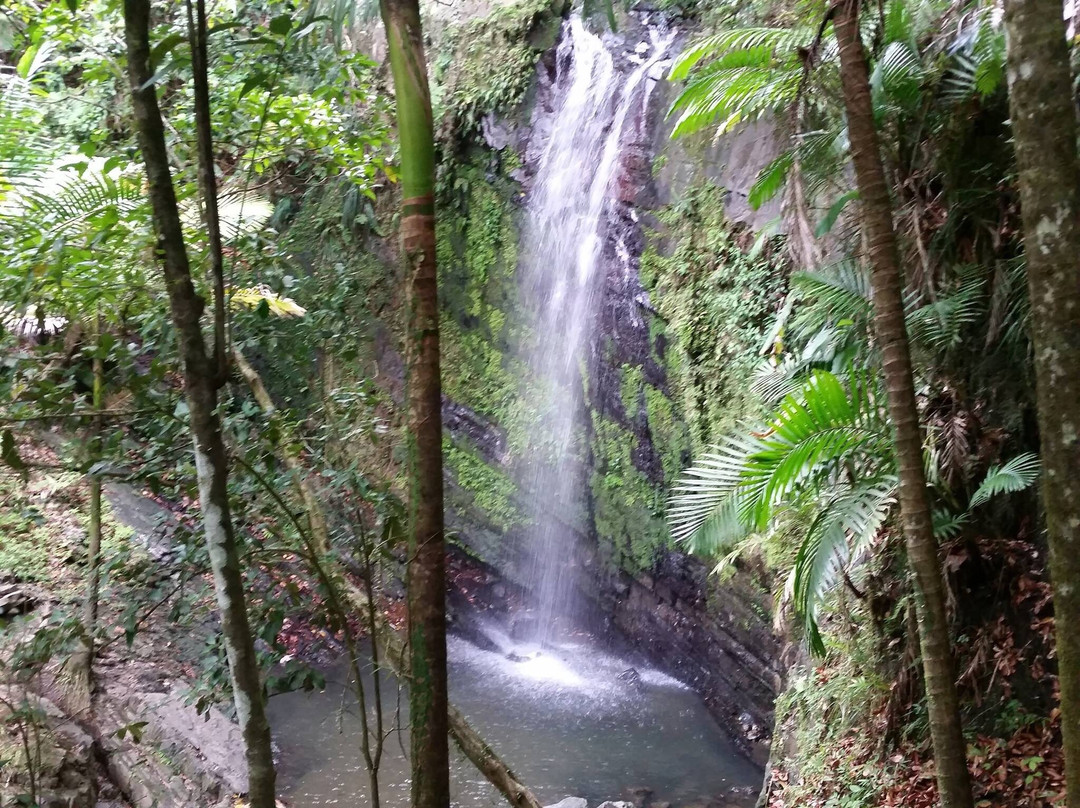 Tours2 Puerto Rico-圣胡安必去景点