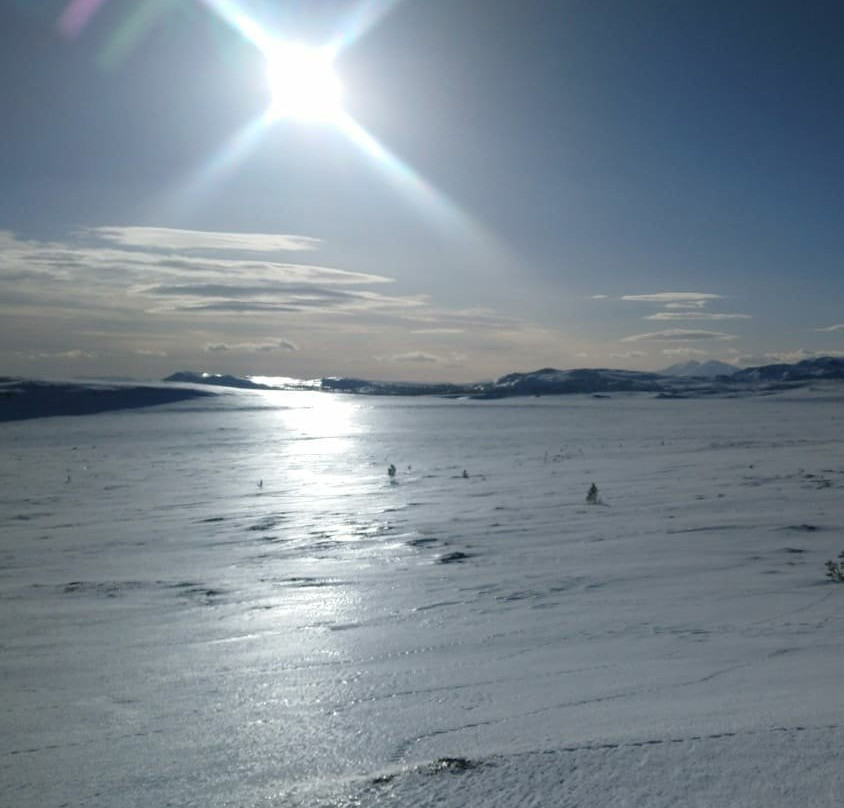 Experience Grövelsjön-Grovelsjon必去景点