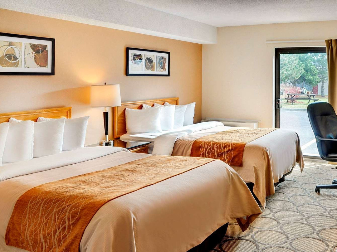 Comfort Inn Swift Current主图