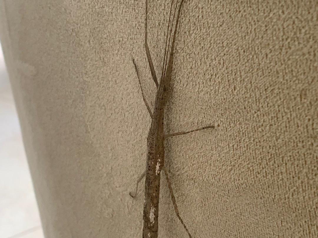 El Eden Hotel Boutique + Spa主图