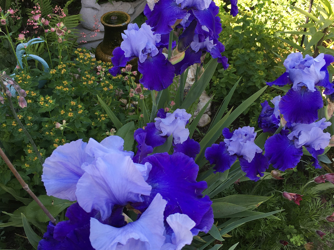 The Inn at Windmill Farm主图