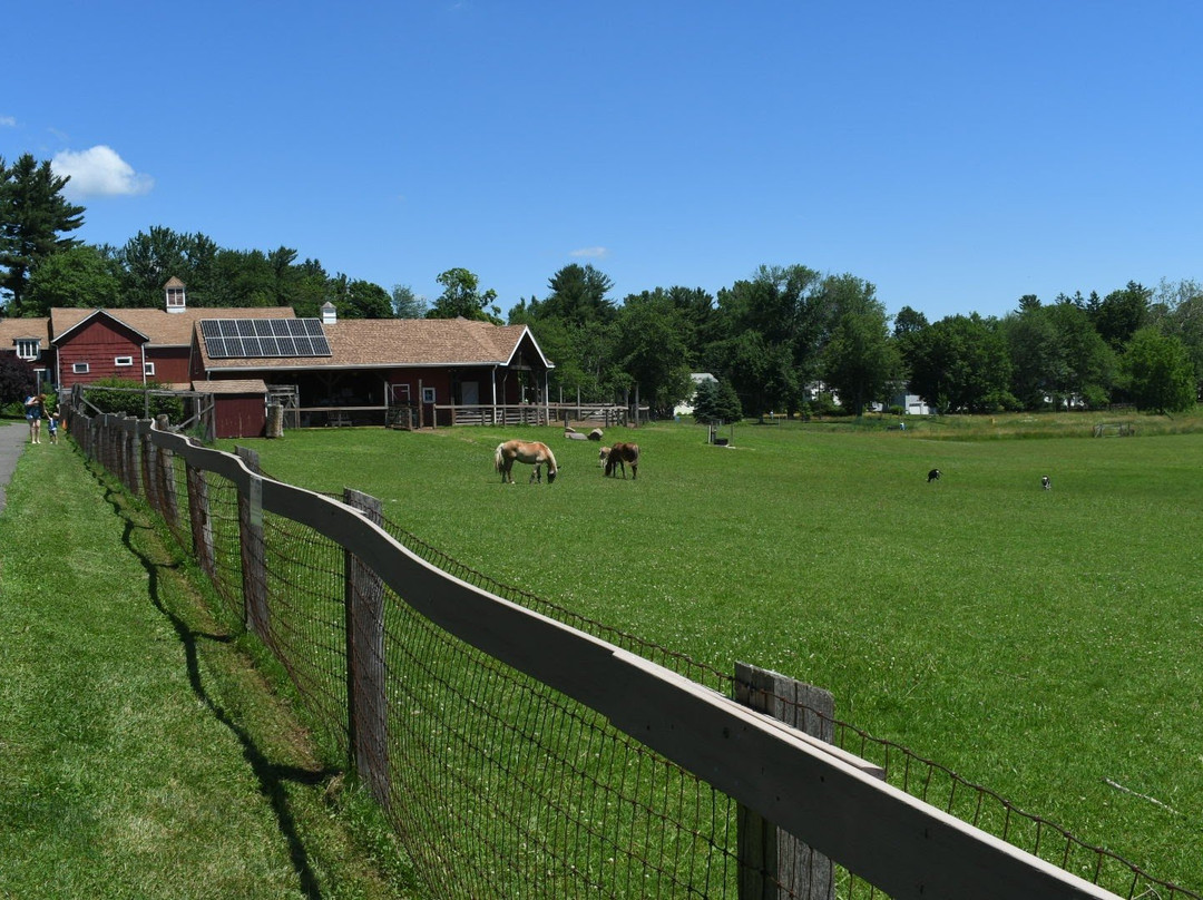Westmoor Park-西哈特福德必去景点