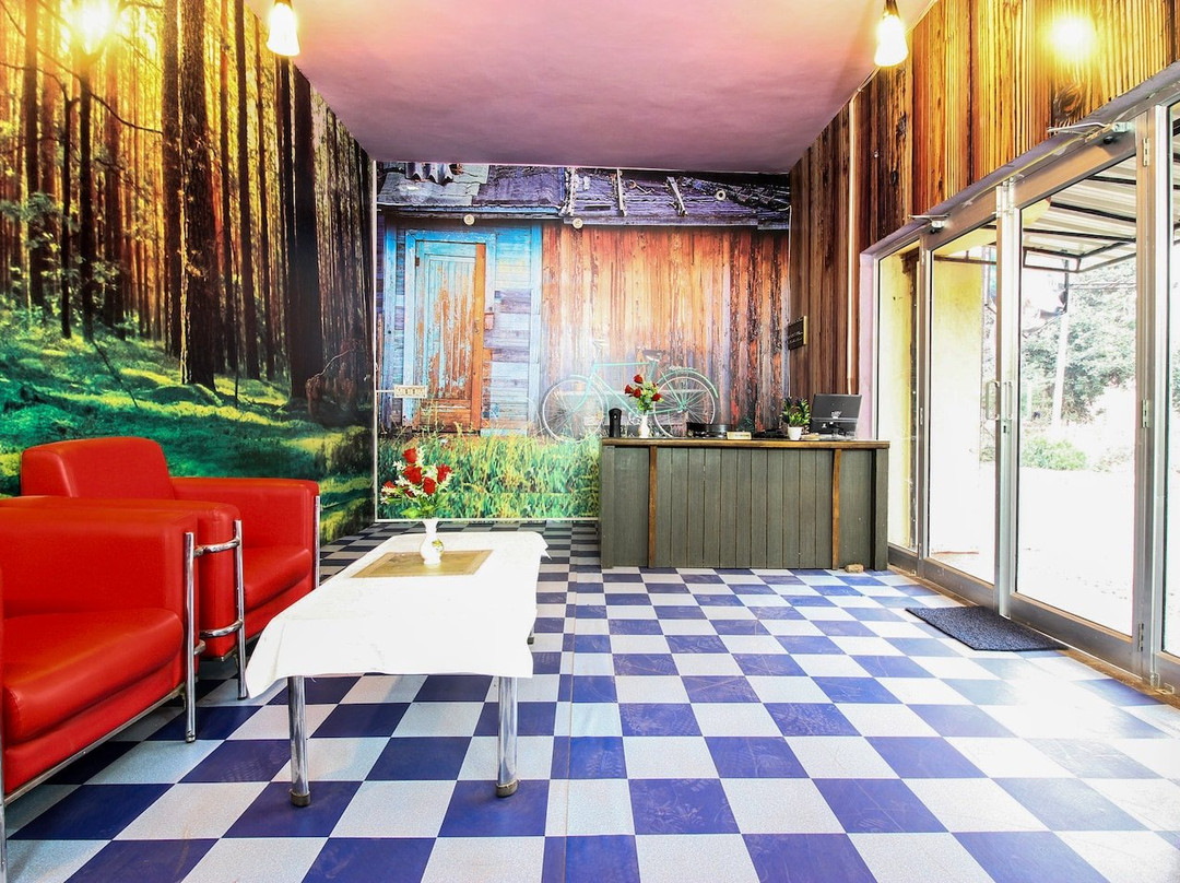 OYO 24451 Hotel Sariska Inn主图