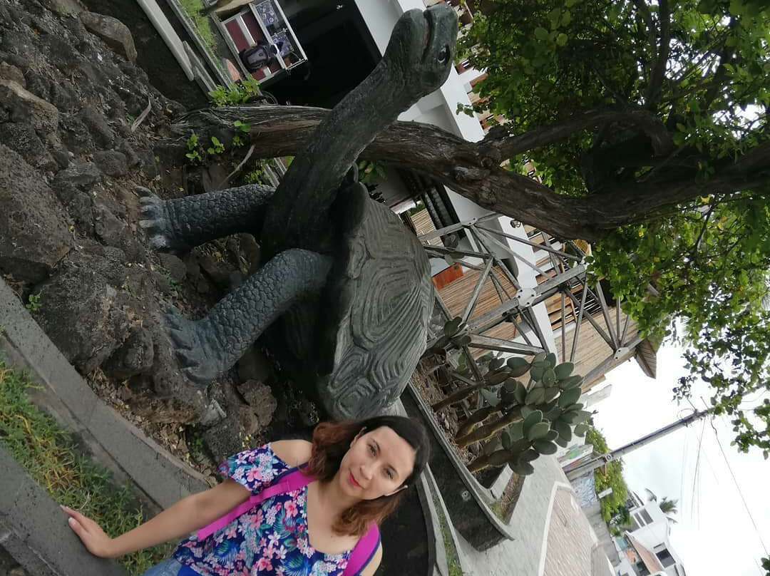 Monumento de la Tortuga-阿约拉港必去景点