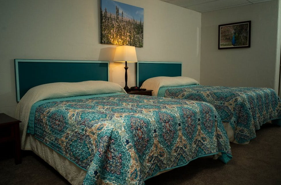 Surrey House Country Inn主图