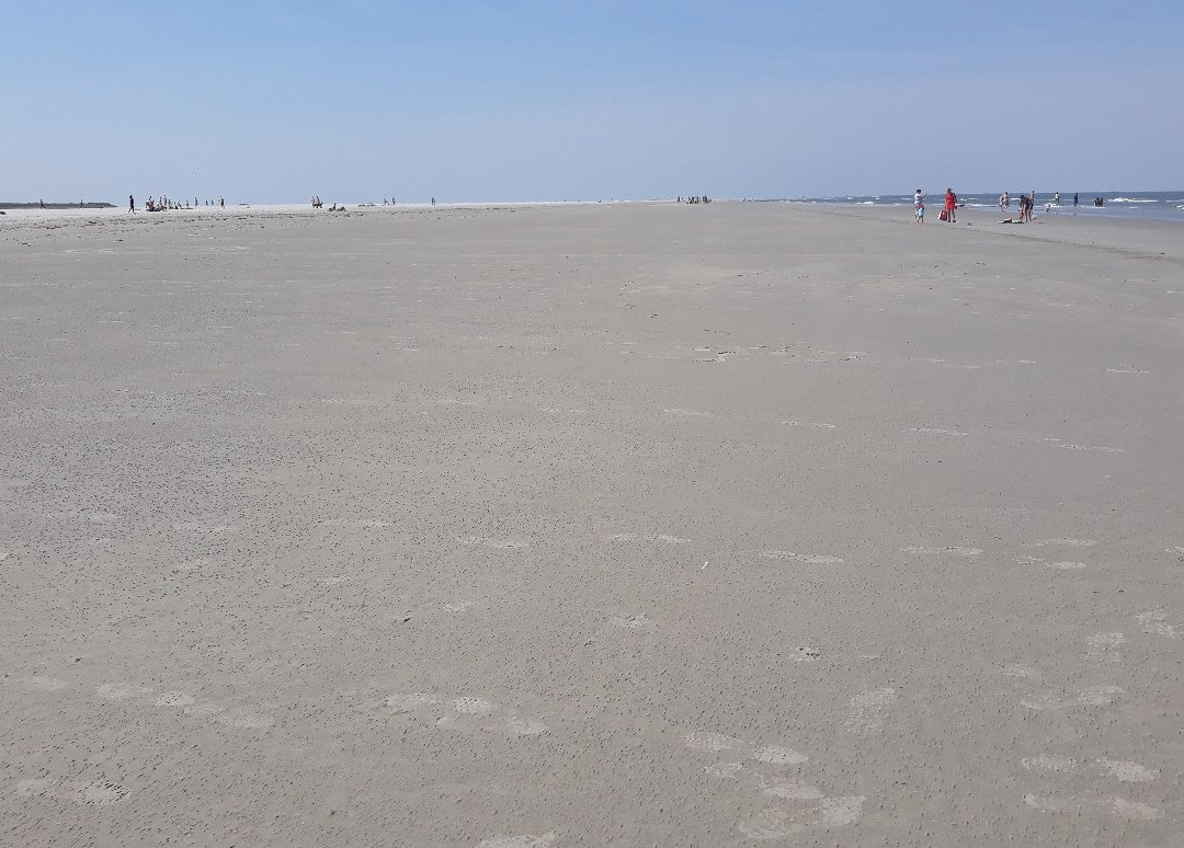 Oosterstrand-Schiermonnikoog必去景点