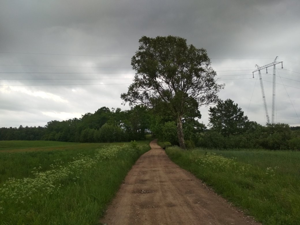 Borcz旅游攻略图片