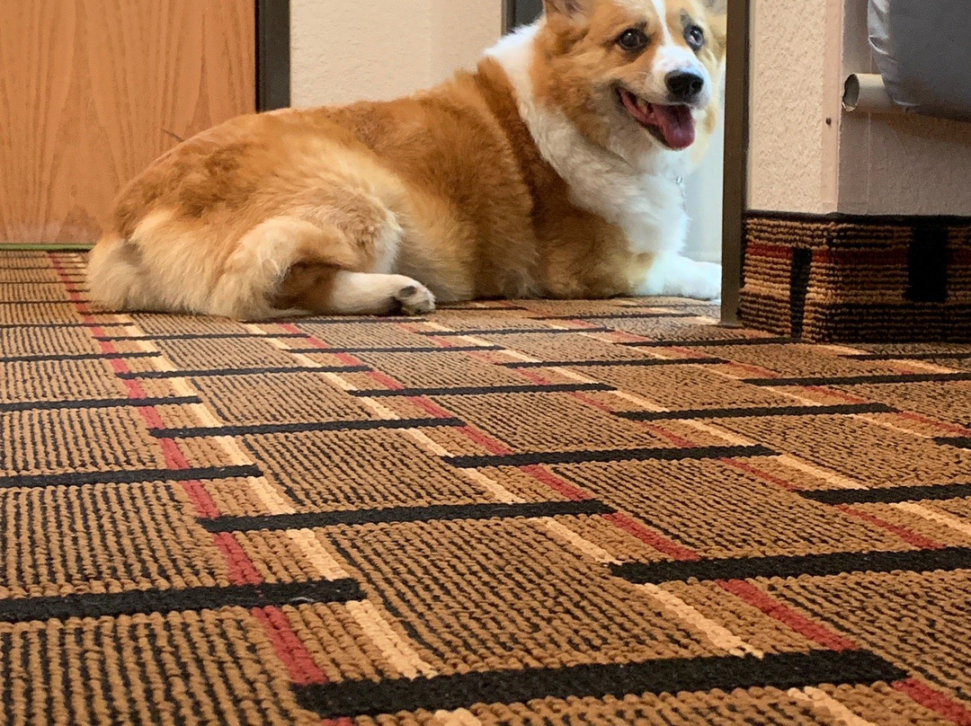 Howard Johnson by Wyndham Beckley主图