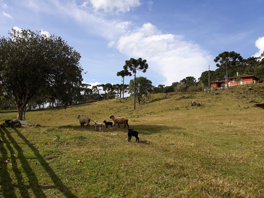 Pousada Vale Da Neblina主图