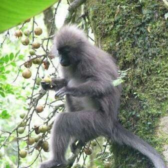 Tukuyu Tours Operator-Tukuyu必去景点