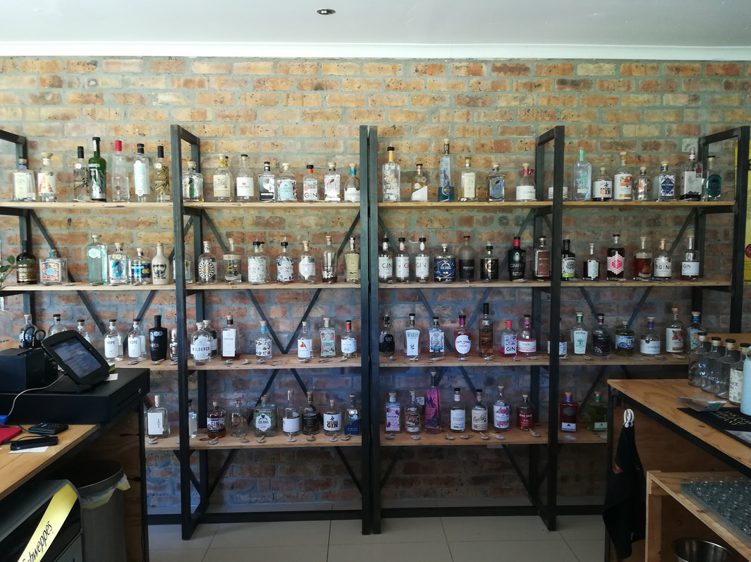 Classic Cats-斯泰伦博斯必去景点