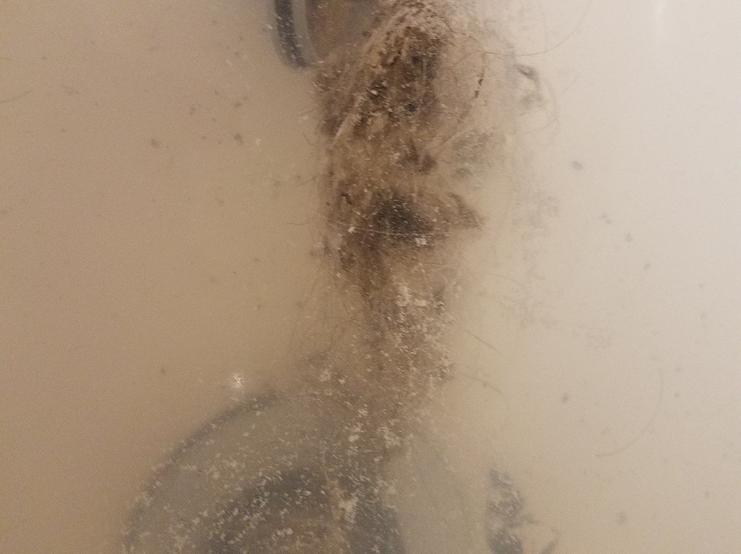 Chattanooga Heritage Inn主图