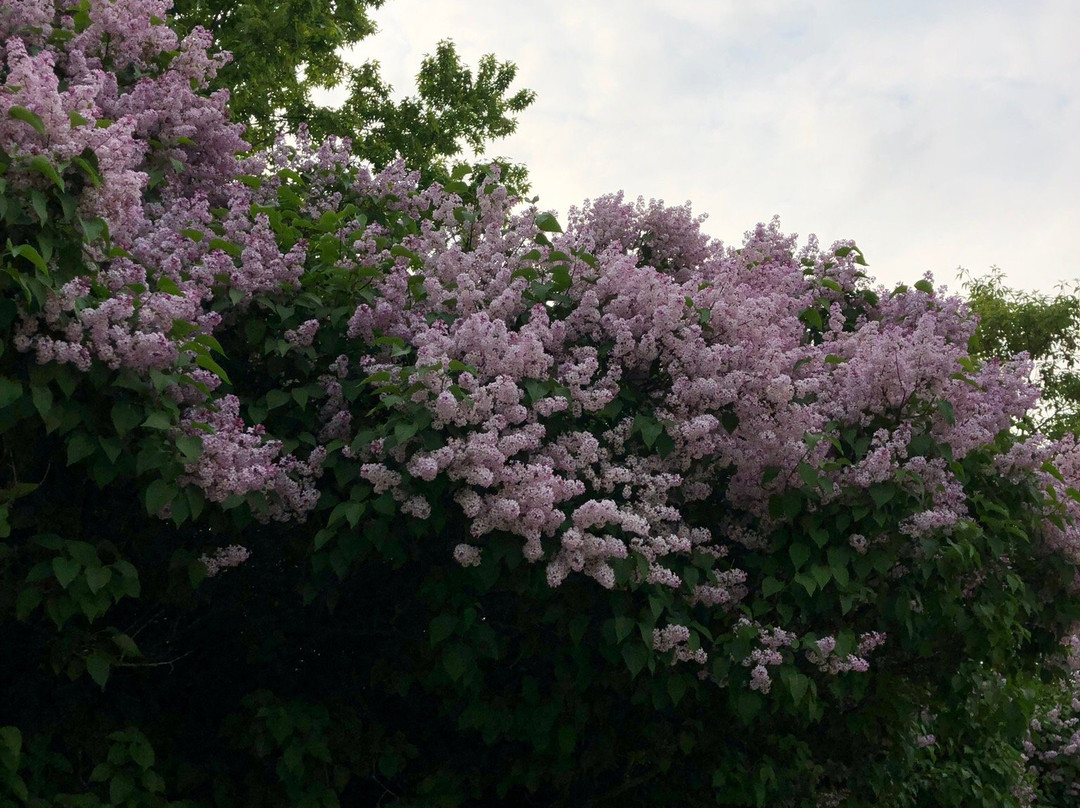 Erindale Park-米西索加必去景点