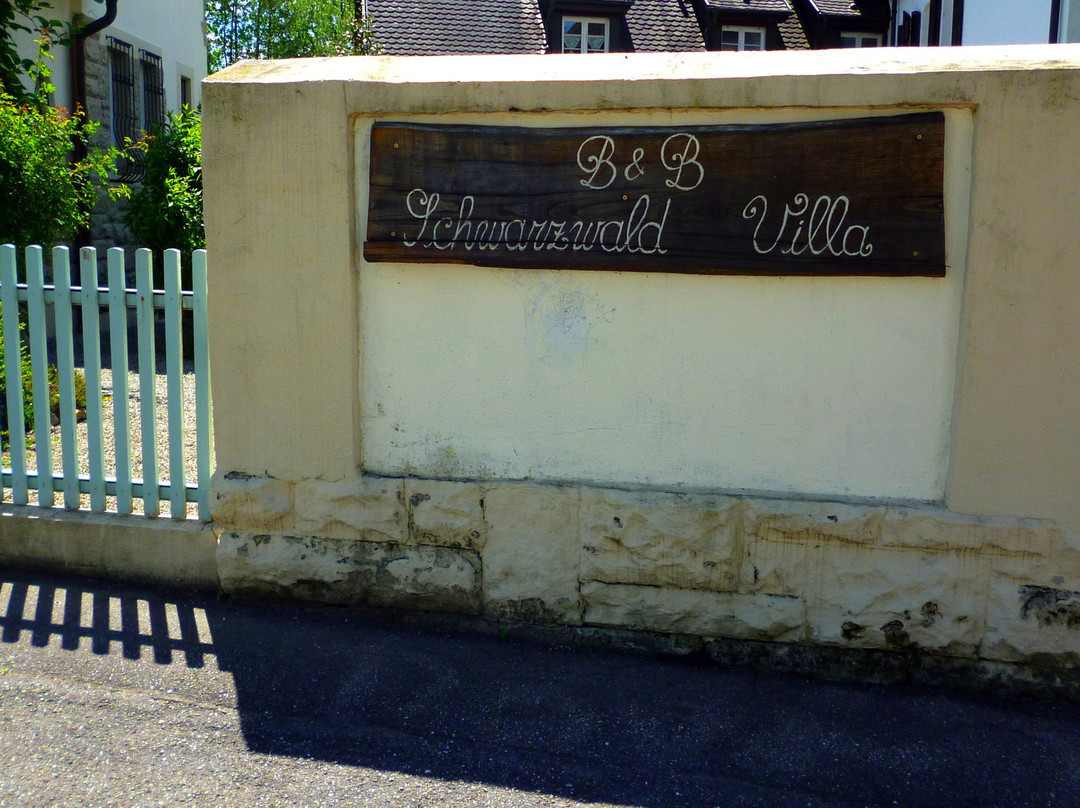 Schwarzwald Villa主图