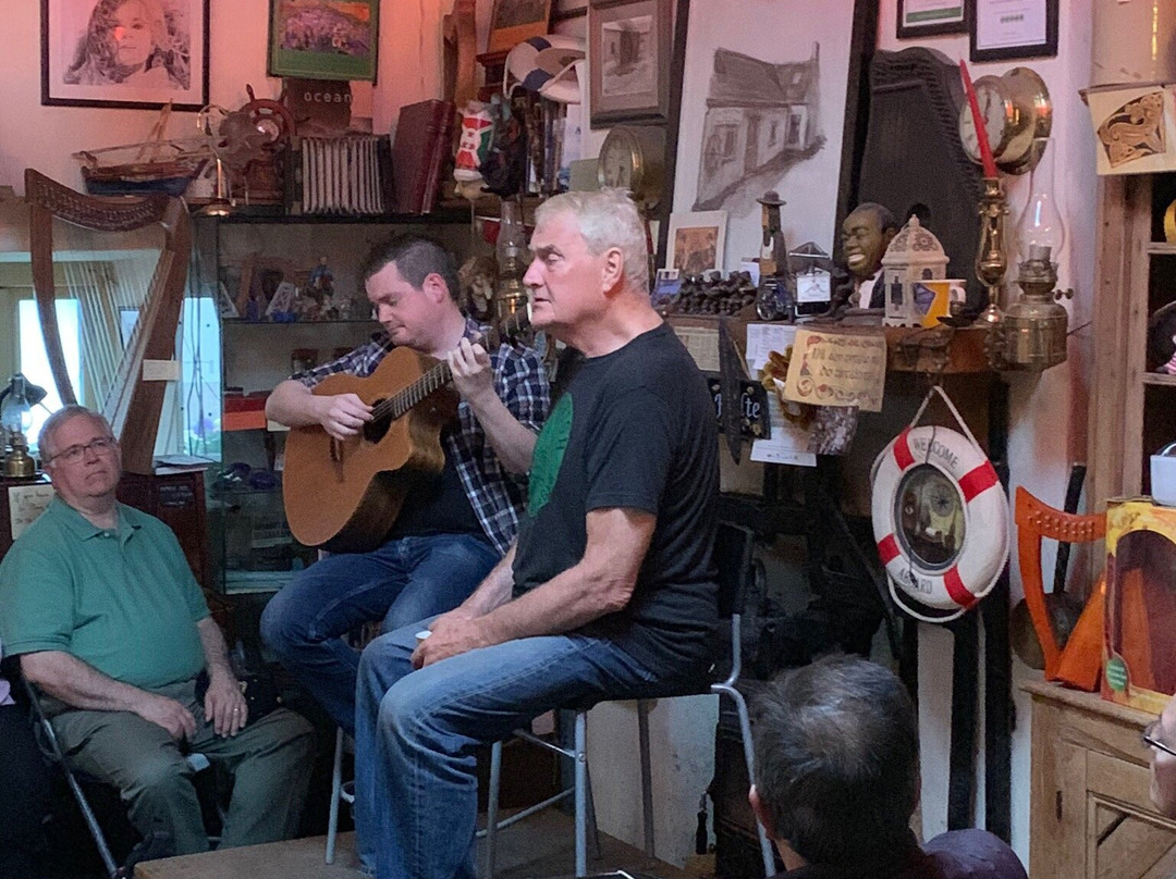 Siopa Ceoil An Daingin - Dingle Music Shop-丁格尔必去景点