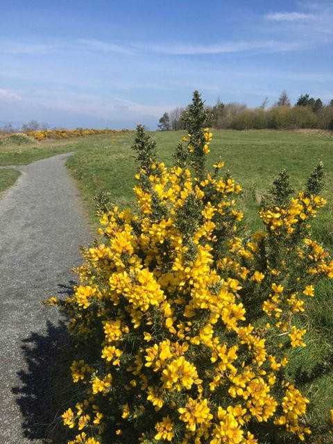 Redburn Country Park-霍利伍德必去景点