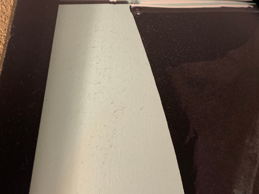 Super 8 by Wyndham Monroe主图