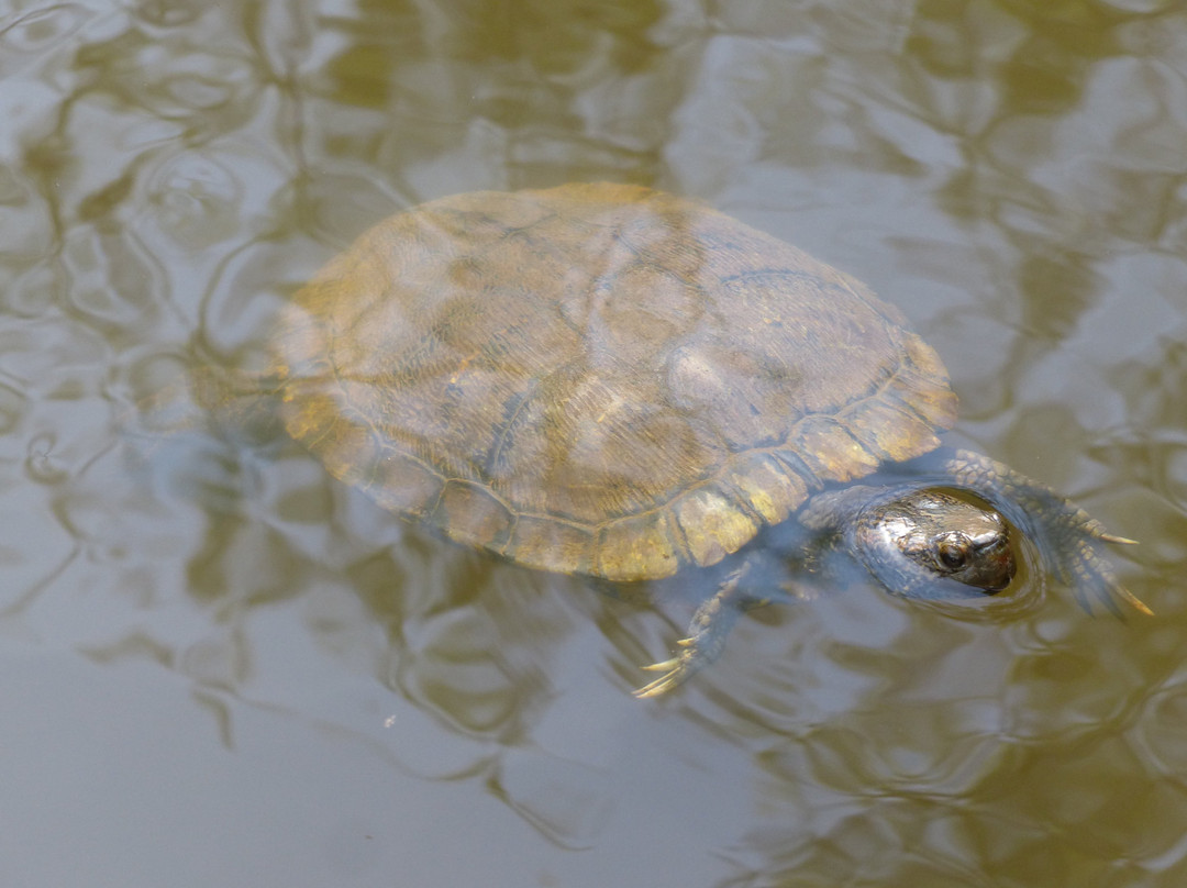 Wesselman Woods Nature Center-埃文斯维尔必去景点