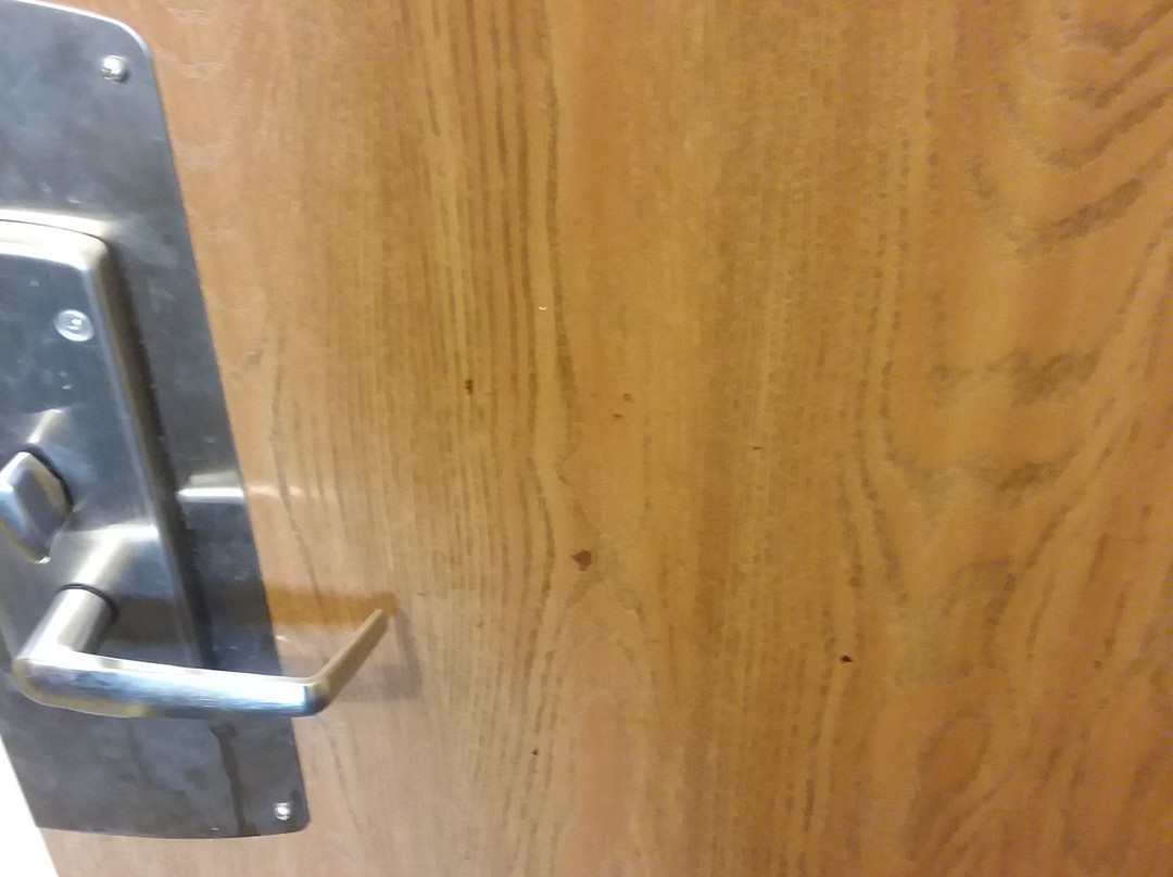 Super 8 by Wyndham Melrose主图