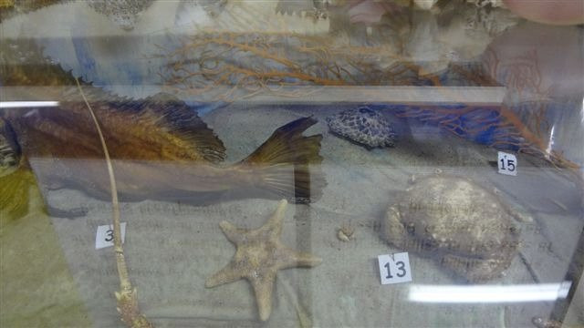 SA Fisheries Museum-Velddrif必去景点