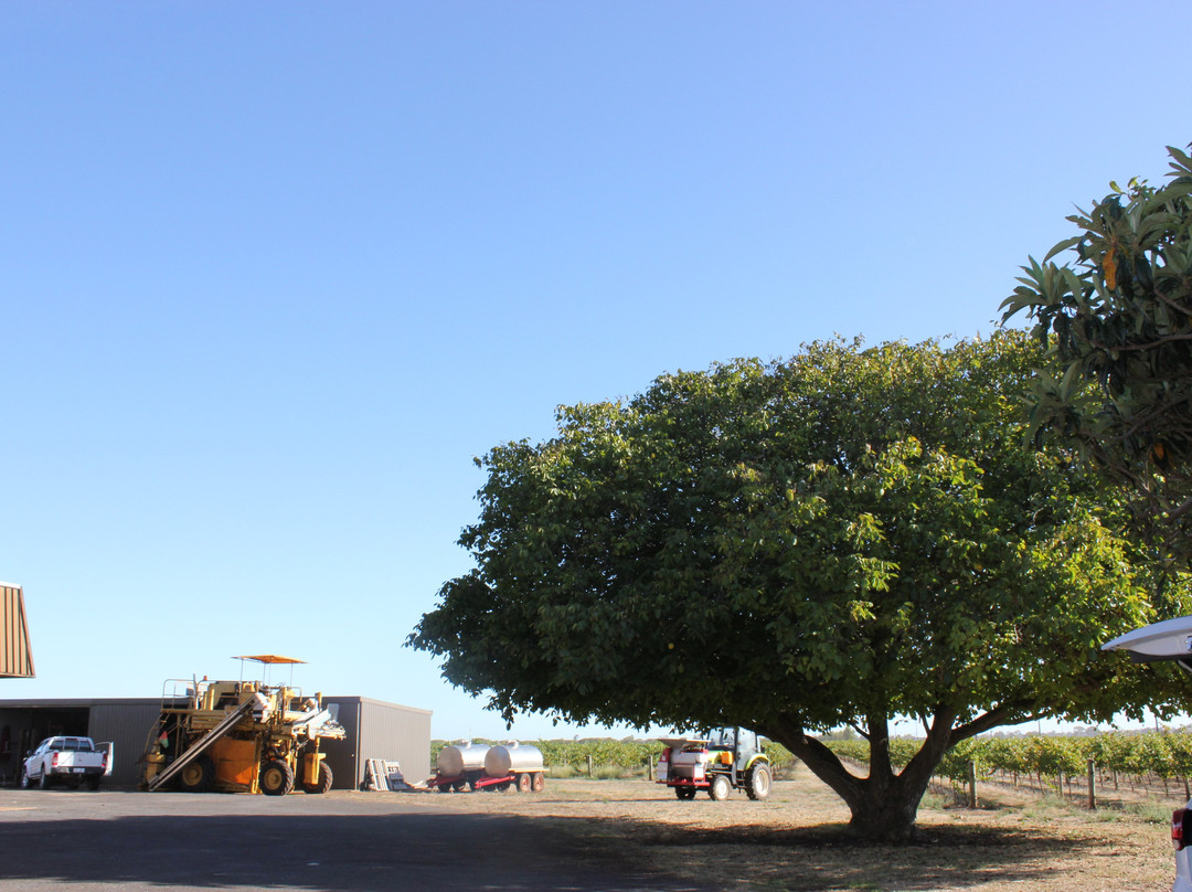 Coonawarra Wineries Walking Trail-Coonawarra必去景点