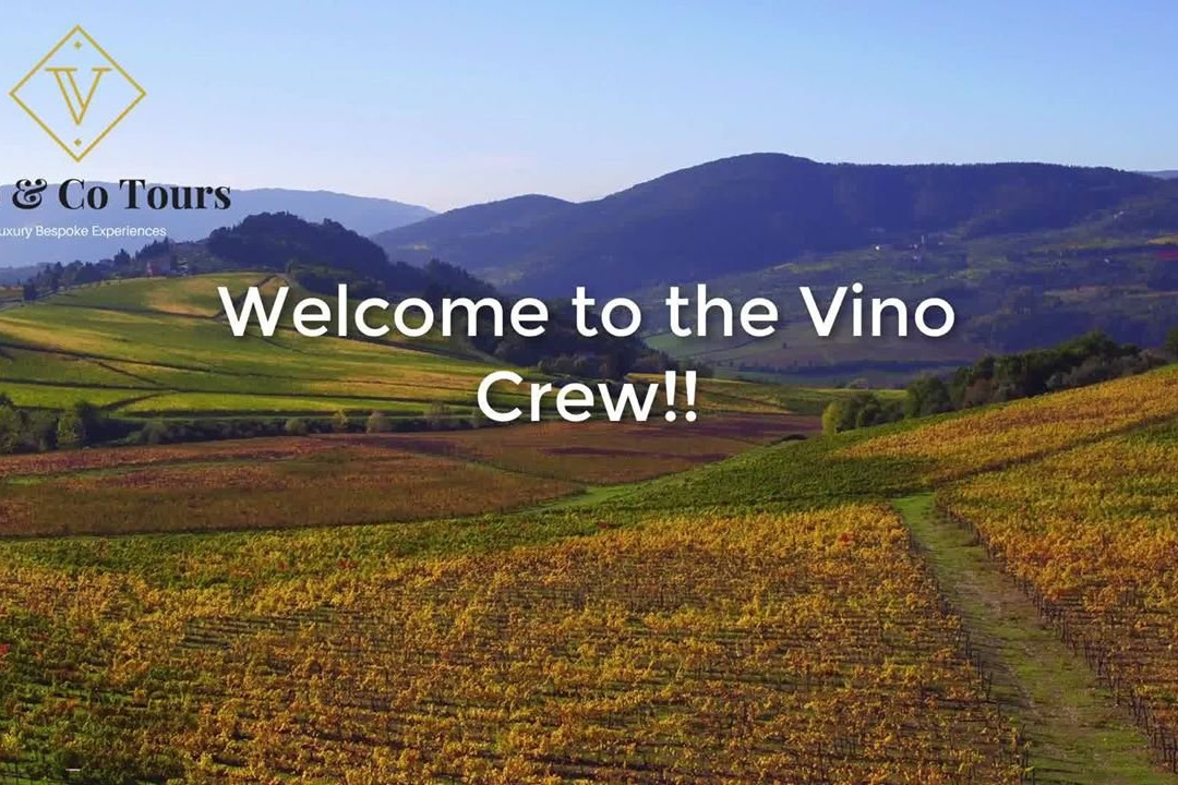 Vino & Co Tours景点图片