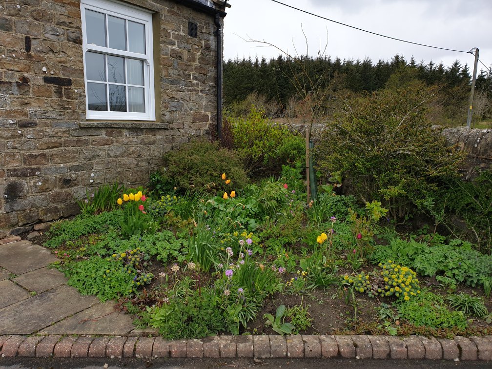 Burnhope Lodge-官方