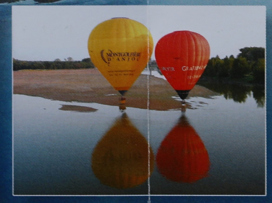 Montgolfieres D'anjou景点图片