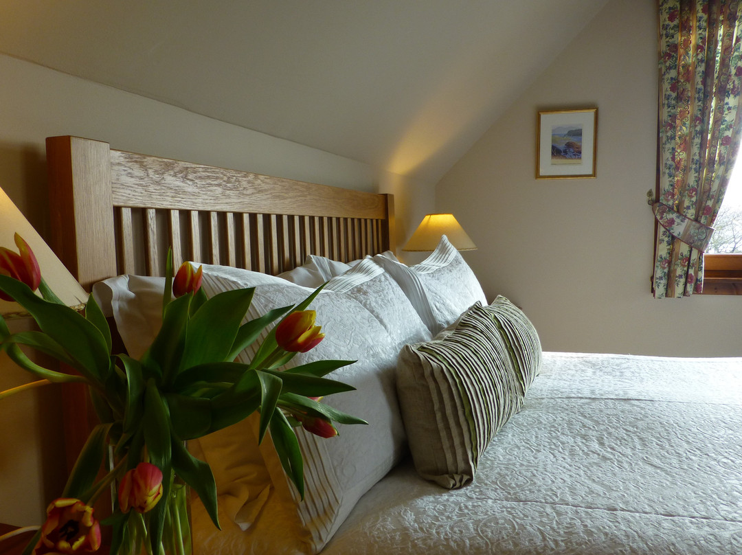 Brockville Bed and Breakfast主图