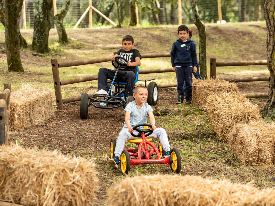 Feijão Verde Natura Fun Park-Alfragide必去景点