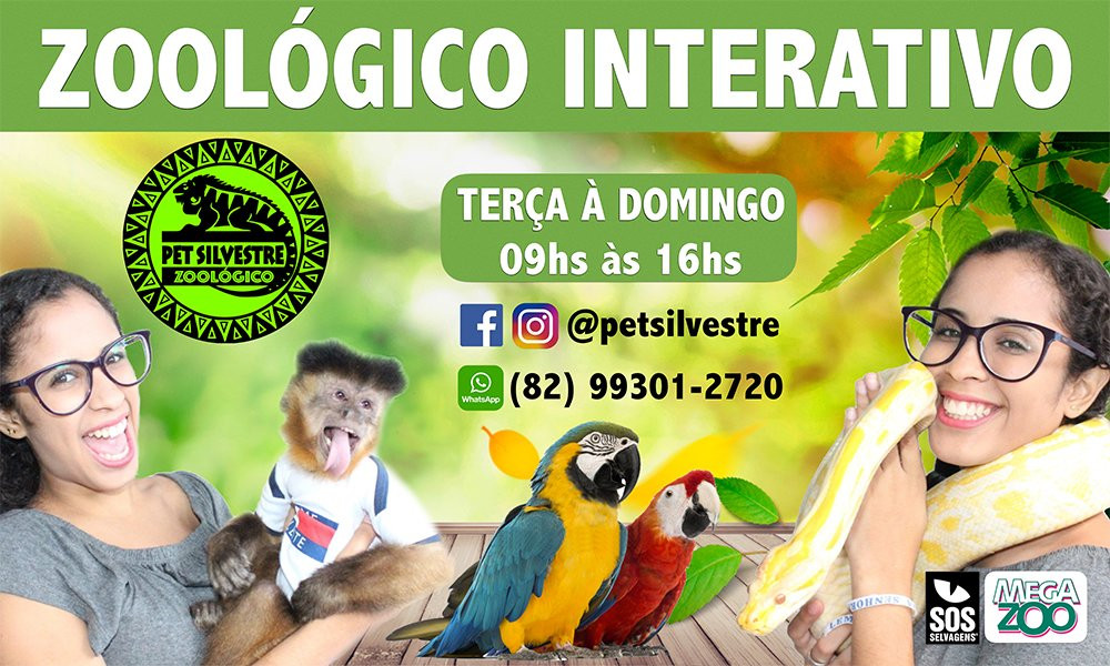 Zoologico Pet Silvestre - Maragogi