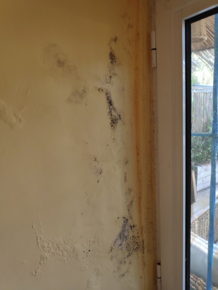 Byblos Fishing Club Guesthouse-官方