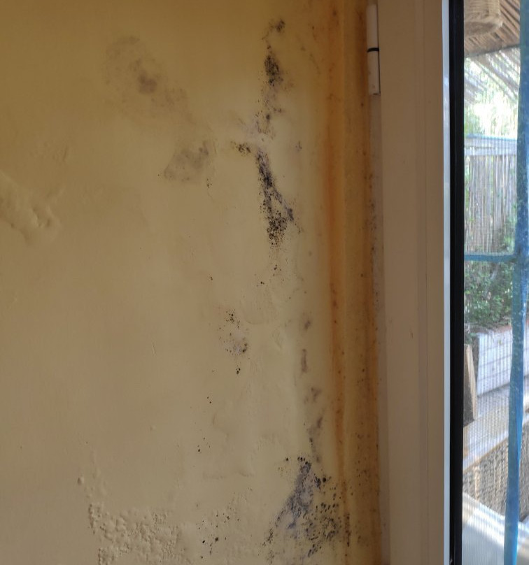 Byblos Fishing Club Guesthouse主图