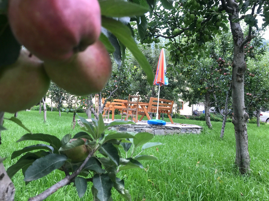 Rabdisht旅游攻略图片