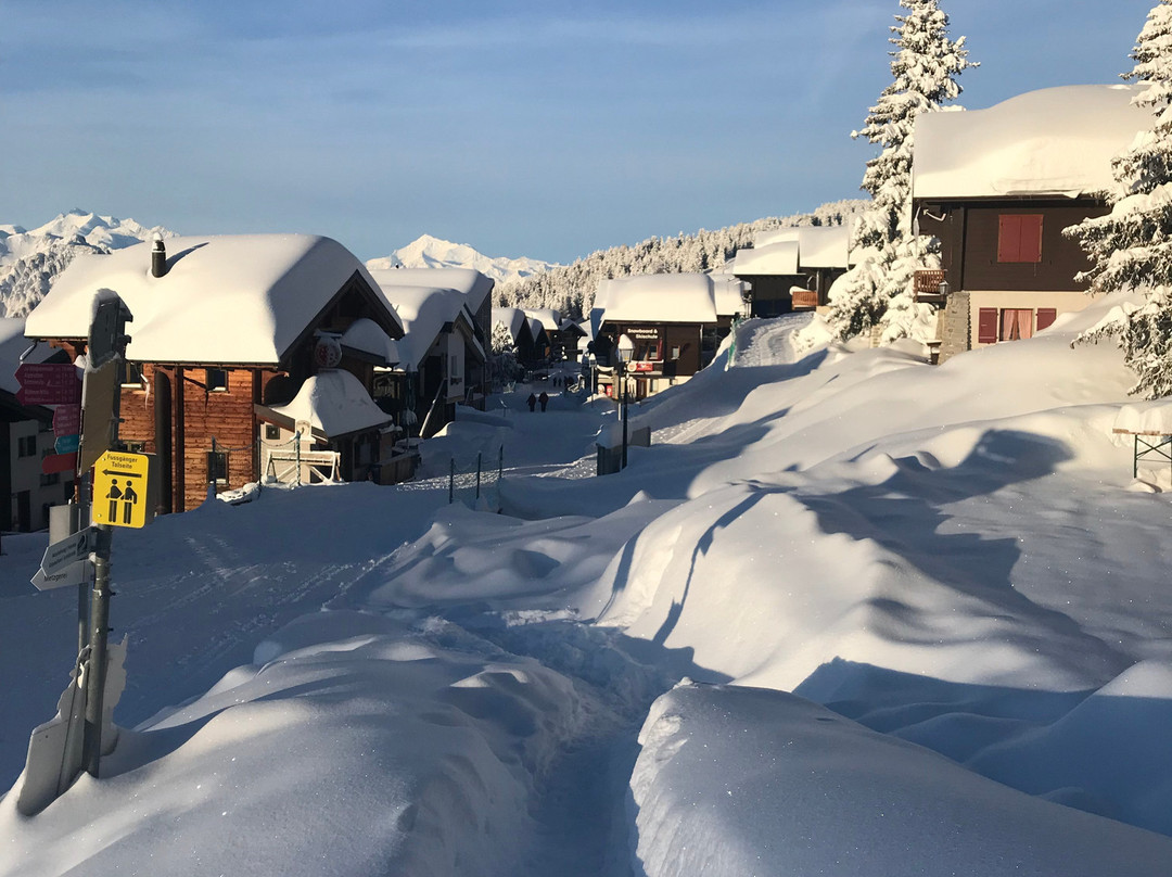 Hotel Alpfrieden主图