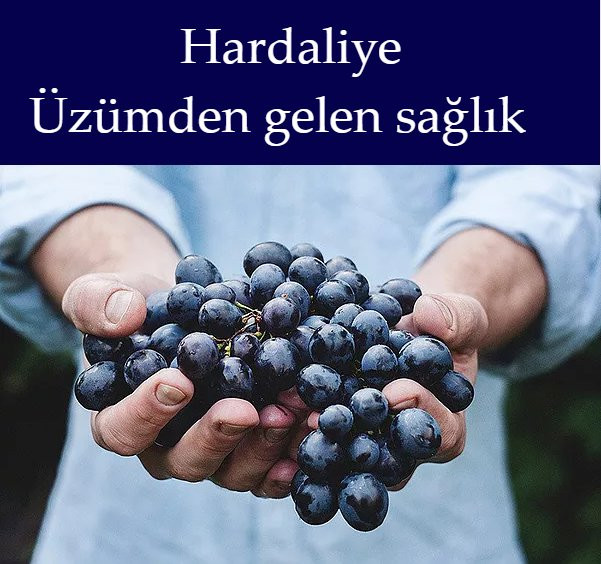 Edirne Saray Sekerleme-Edirne必去景点