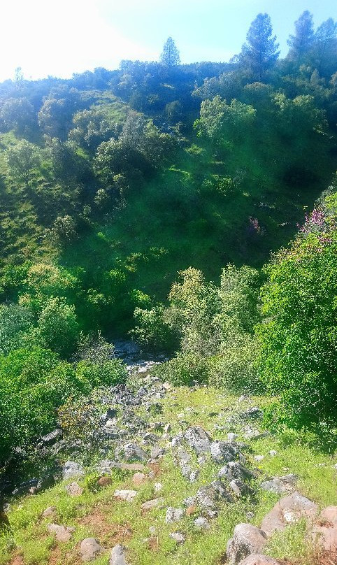 Natural Bridges Trail景点图片