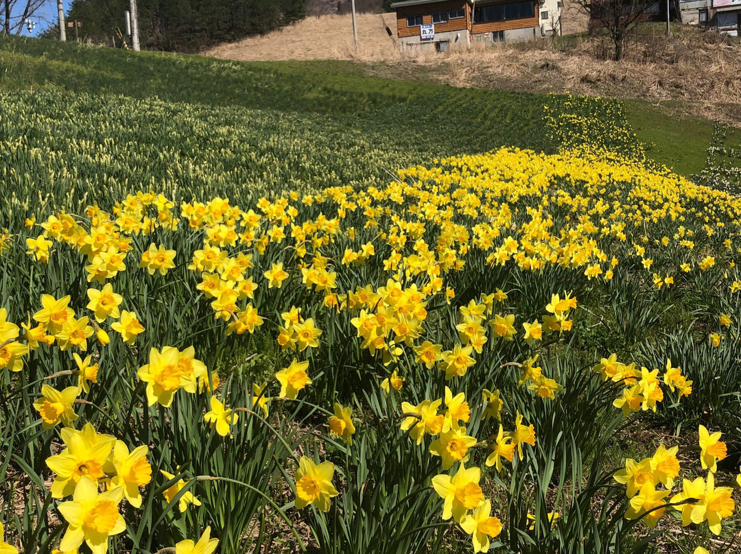 Mt. Kannabe-丰冈市必去景点