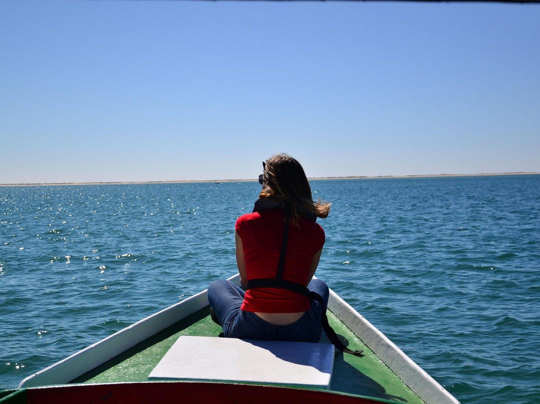 ODYSSEY - Ria Formosa Boat Tours景点图片