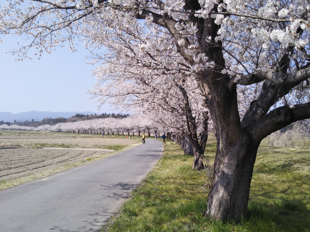 Tokigawa Sakuratsutsumi-岚山町必去景点