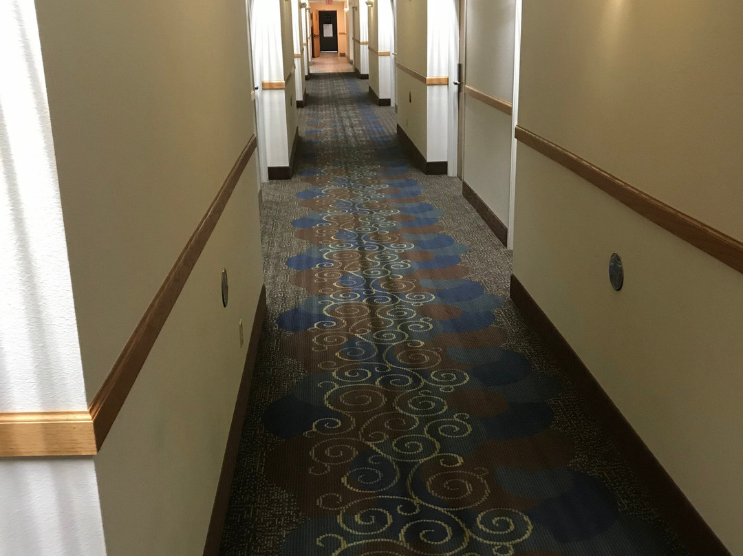 Super 8 by Wyndham Neillsville WI主图