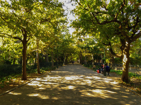 FloGuide-开普敦中心区必去景点