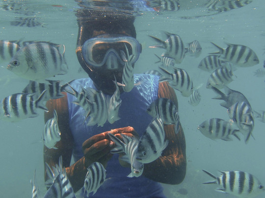 Cheichei Zanzibar Tours and Safari-桑给巴尔岛必去景点