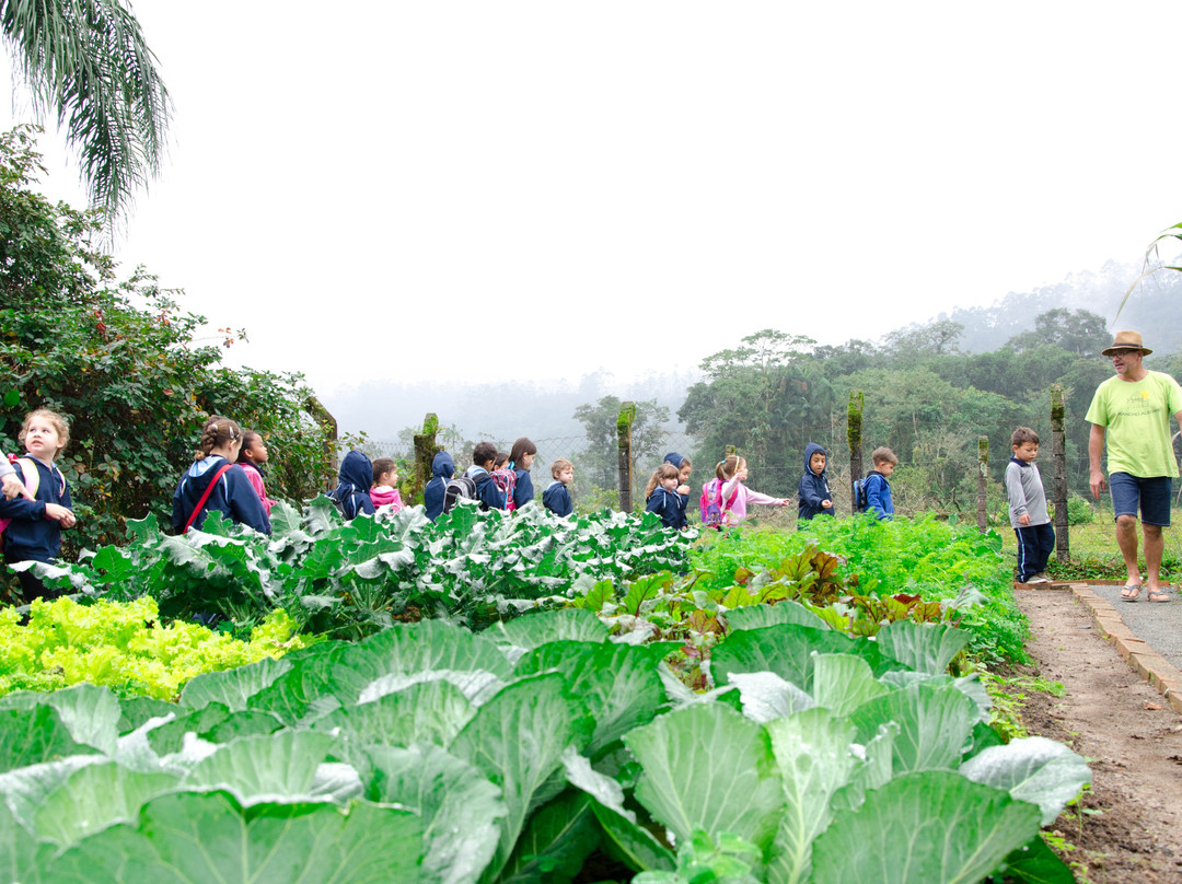 Rancho Alegre-Joinville必去景点