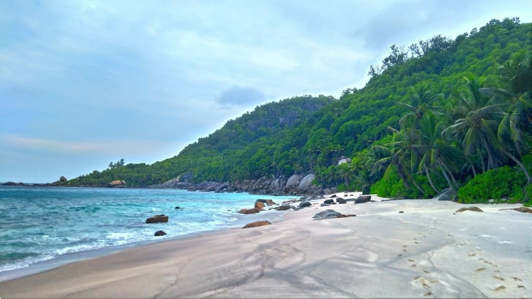 Anse Capucins Beach景点图片