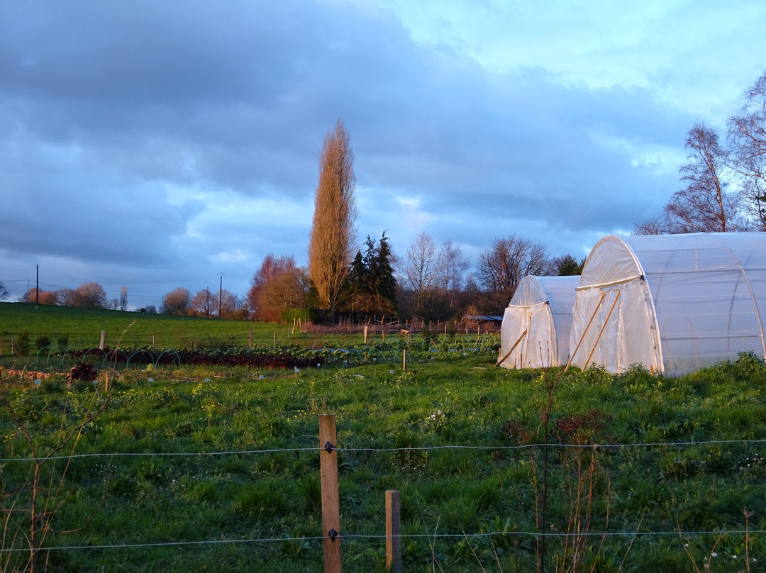 Plouer sur Rance酒店住宿-Les Jardins de la Matz